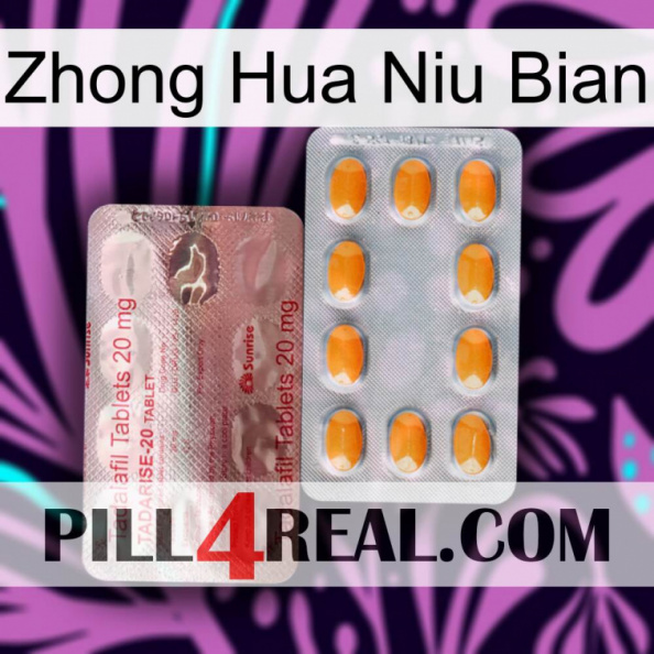 Zhong Hua Niu Bian new13